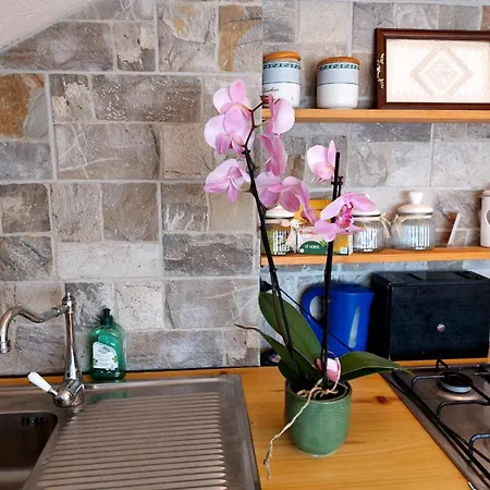 Mansarda Roulette Appartement